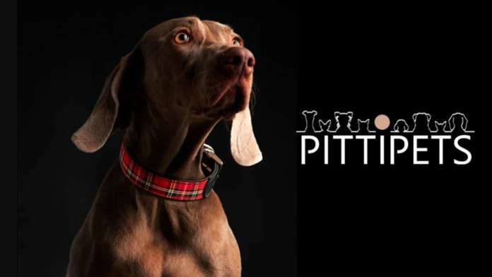 PittiPets